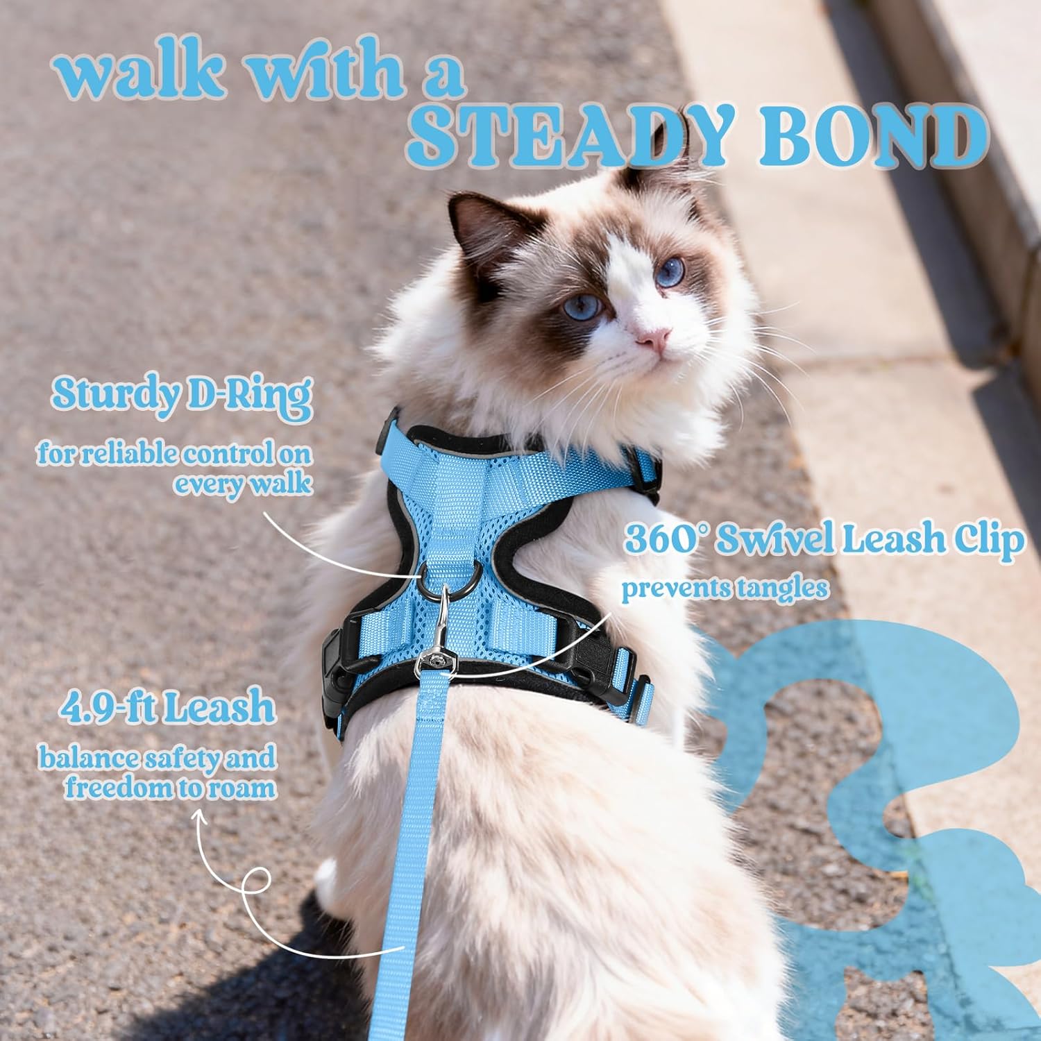 Cat wearing a blue harness and leash with text highlighting features, on a pavement background at Pet Servo