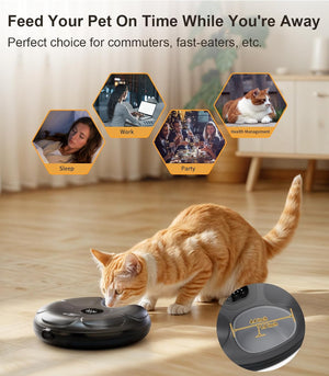 Cat interacting with a pet feeder on a wooden floor, with text about feeding pets while away at Pet Servo
