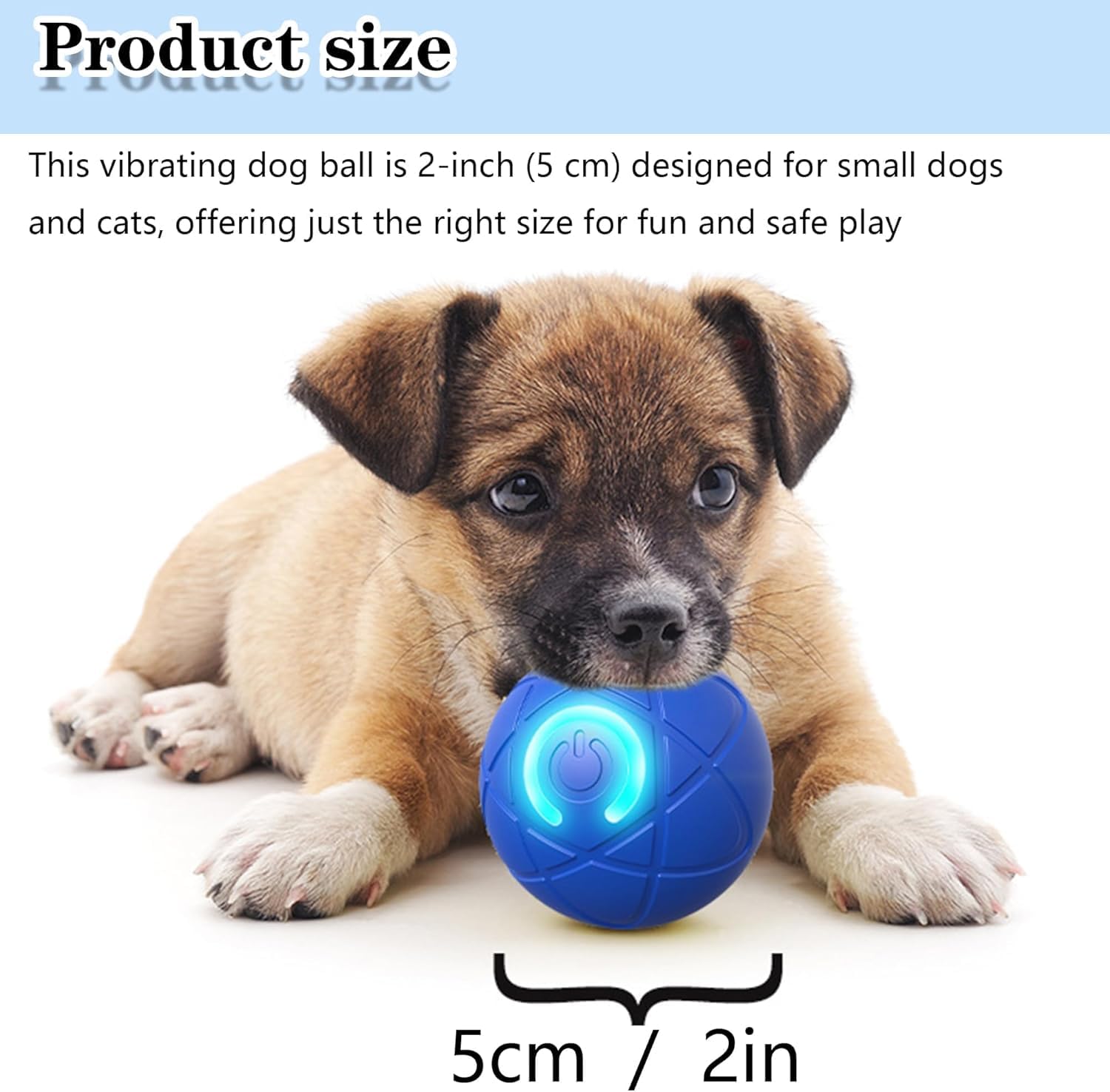 Dog playing with a blue vibrating ball on a white background at Pet Servo