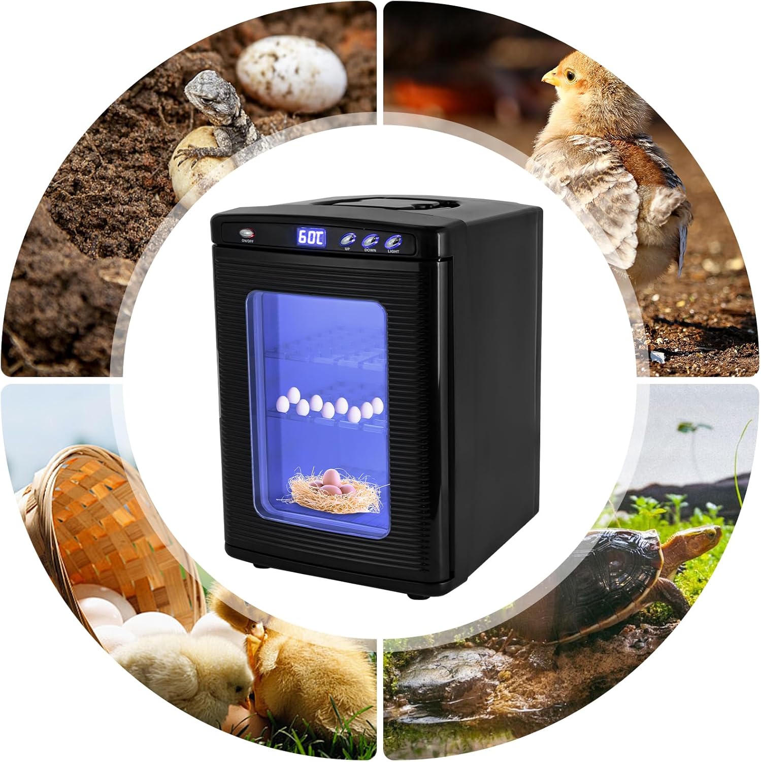 A black egg incubator with a blue illuminated viewing window is centered on a white background, surrounded by circular inset photos showing eggs, chicks, a basket, and a turtle. No person or real environment is the main subject; this is a composite product presentation, so Product/Packaging fits best.