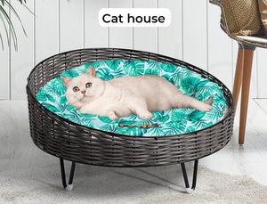 A white cat lies inside a round woven pet bed with a dark wicker frame and a bright green tropical leaf-patterned cushion. The words 'Cat house' appear above the bed, and part of a chair is visible on the right against a white paneled wall at Pet Servo