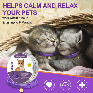 Two cats wearing purple collars with a calming collar product in front, on a purple background at Pet Servo
