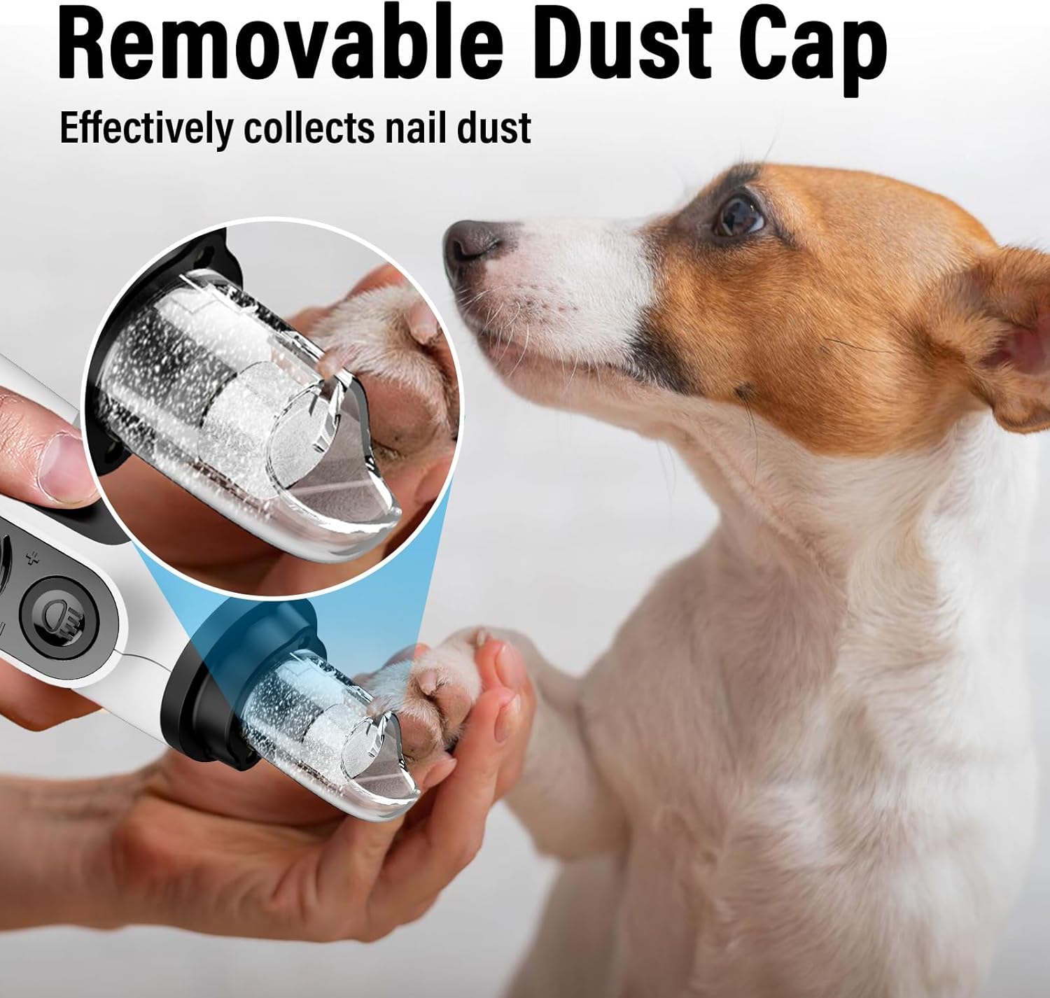 Buy Casfuy 6-Speed Pet Nail Grinder with 2 LED Lights at Pet Servo