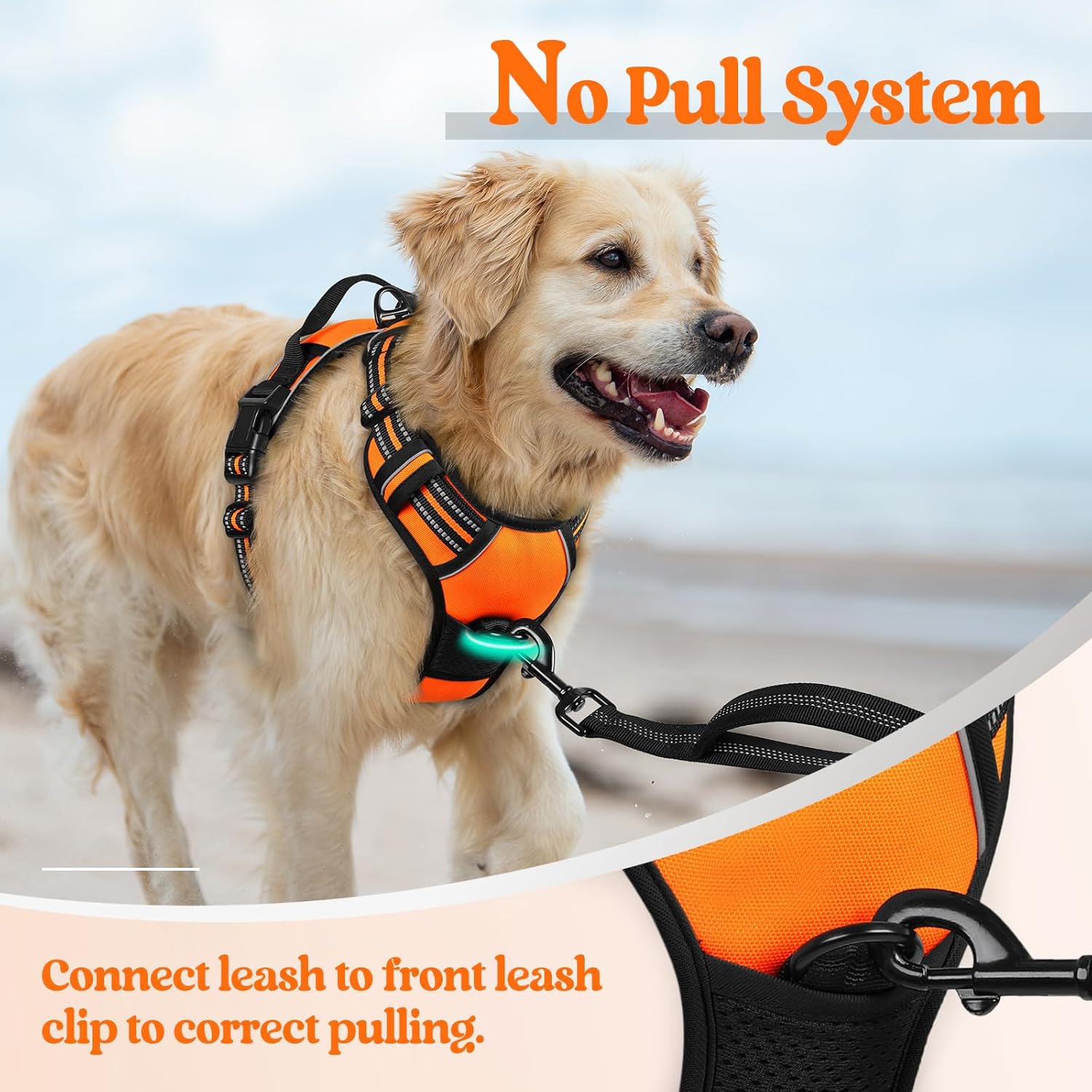 Rabbitgoo - Outdoor Adjustable Pet Harness (Orange) at Pet Servo