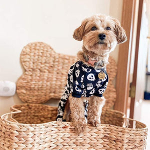A small fluffy dog wearing a navy blue short-sleeve shirt with a white skull pattern, sitting in a woven wicker basket at Pet Servo