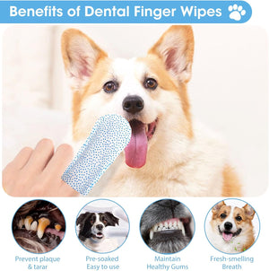 Dog holding a dental finger wipe with text about its benefits on a white background at Pet Servo