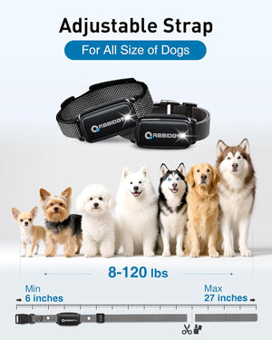 Dog collars with adjustable strap for various dog sizes on a white background at Pet Servo