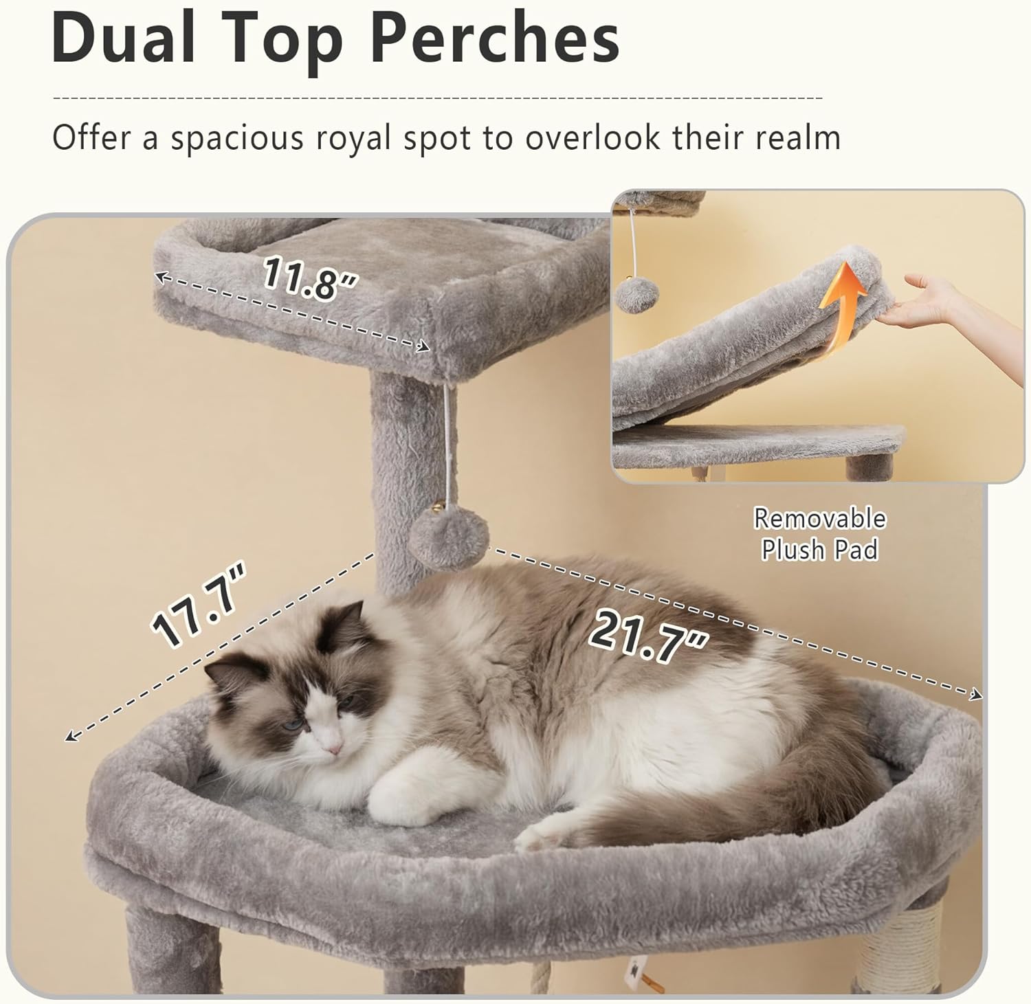 Cat tree with dual top perches and measurements, featuring a cat lounging on it at Pet Servo