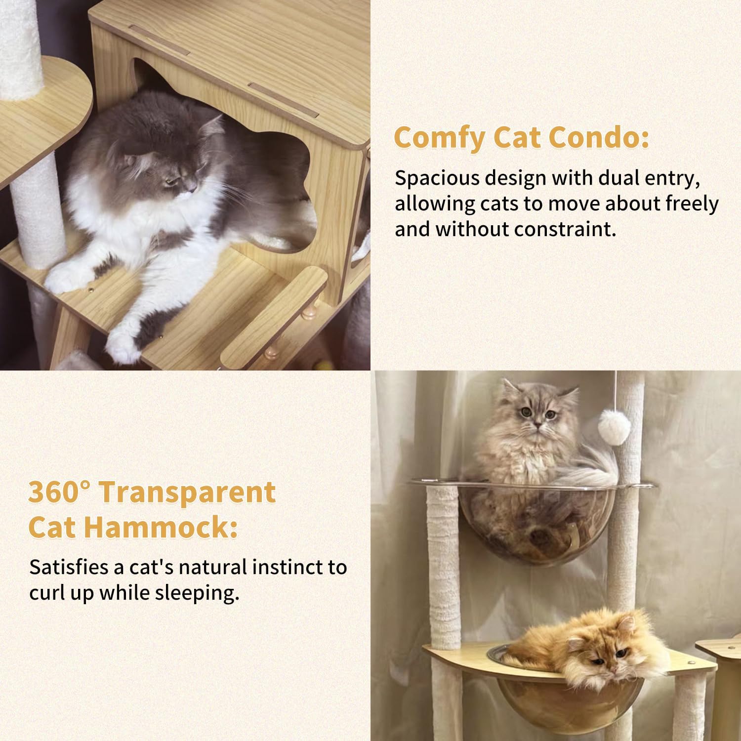 Cat condo and transparent cat hammock with text describing features at Pet Servo