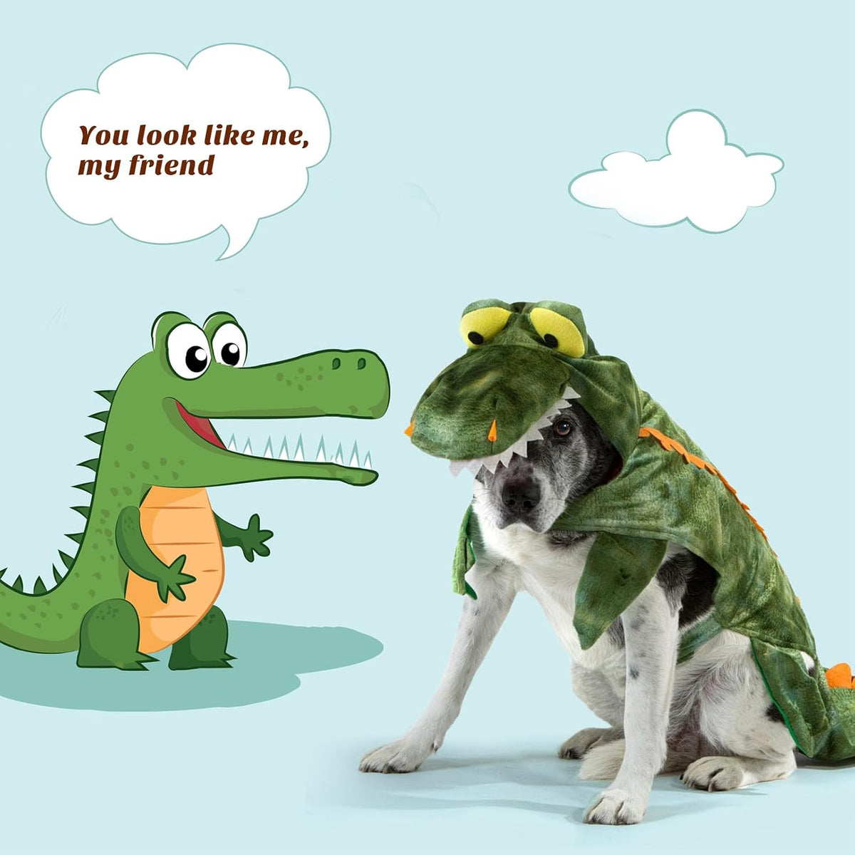 Dog in a dinosaur costume next to an animated dinosaur, with a light blue background and white clouds.