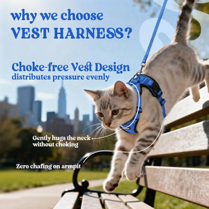 Cat wearing a blue vest harness with text explaining its benefits, set against a cityscape background. at Pet Servo