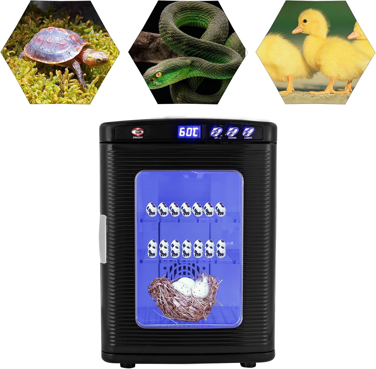 A black egg incubator with a blue digital display and glass door, shown on a white background with three inset images of a turtle, a green snake, and two yellow chicks.