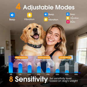 Dog wearing a collar with adjustable modes and sensitivity settings displayed at Pet Servo
