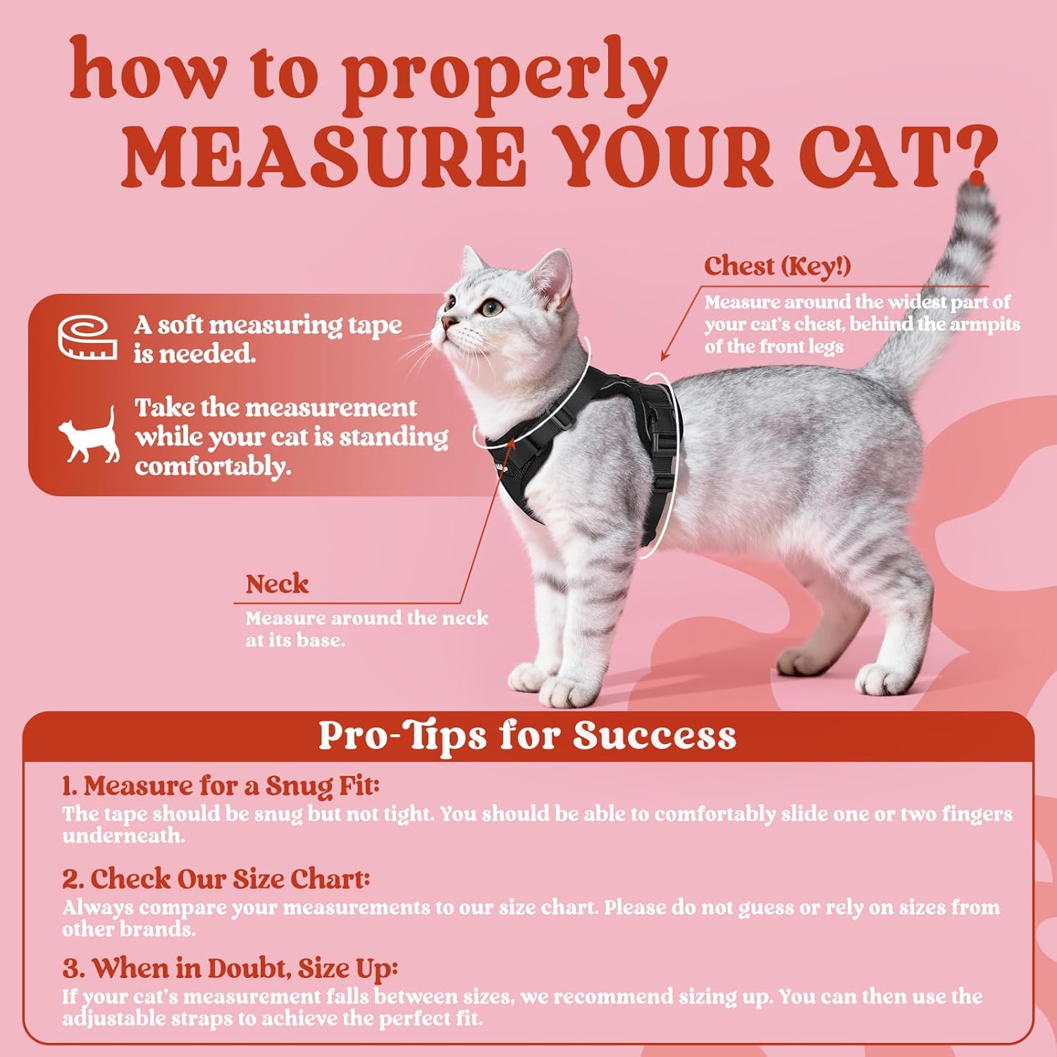 Infographic on how to properly measure a cat with a pink background at Pet Servo