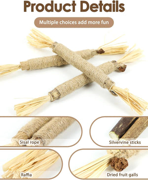 Cat toy with sisal rope, silvervine sticks, raffia, and dried fruit galls on a white background at Pet Servo