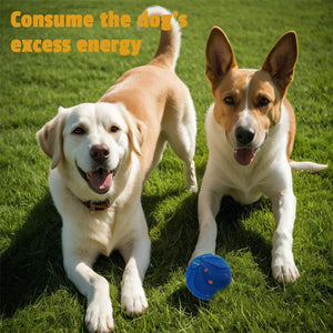 Two dogs lying on grass with a blue toy, text 'Consume the dog's excess energy' above at Pet Servo