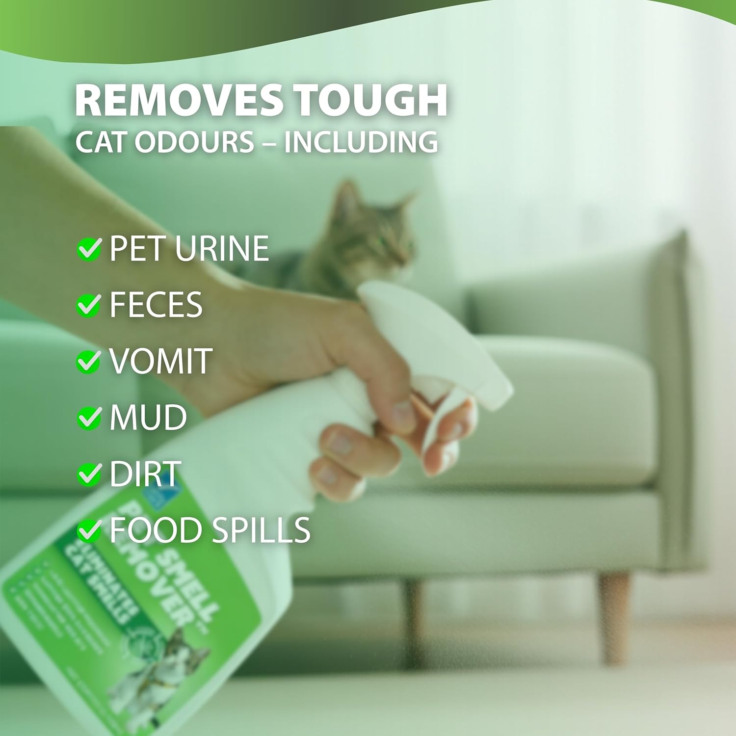 Person holding a bottle of pet stain remover with a cat in the background at Pet Servo