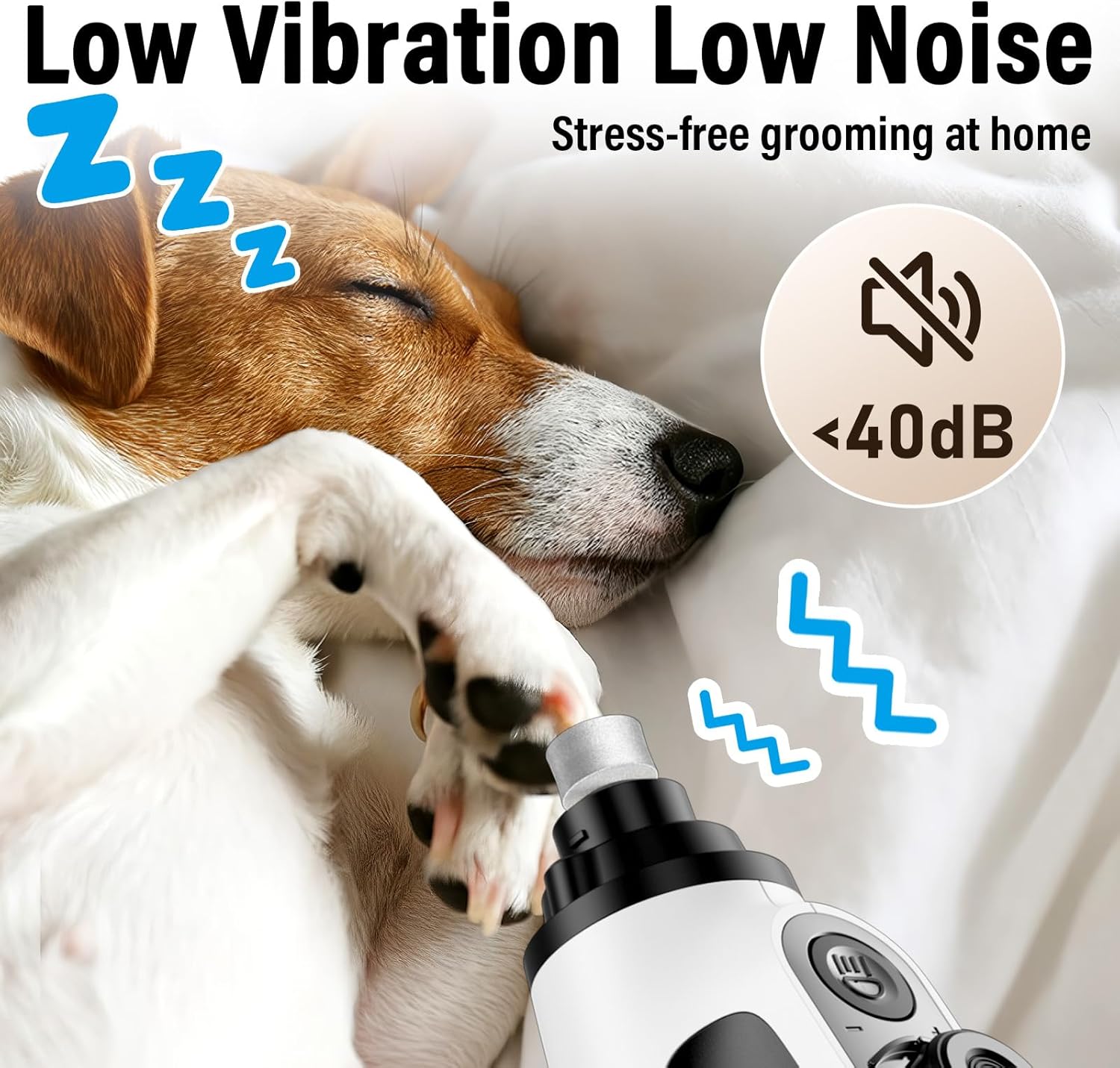 Buy Casfuy 6-Speed Pet Nail Grinder with 2 LED Lights at Pet Servo