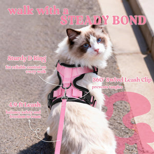 Cat wearing a pink harness and leash with text highlighting features, on a sidewalk at Pet Servo