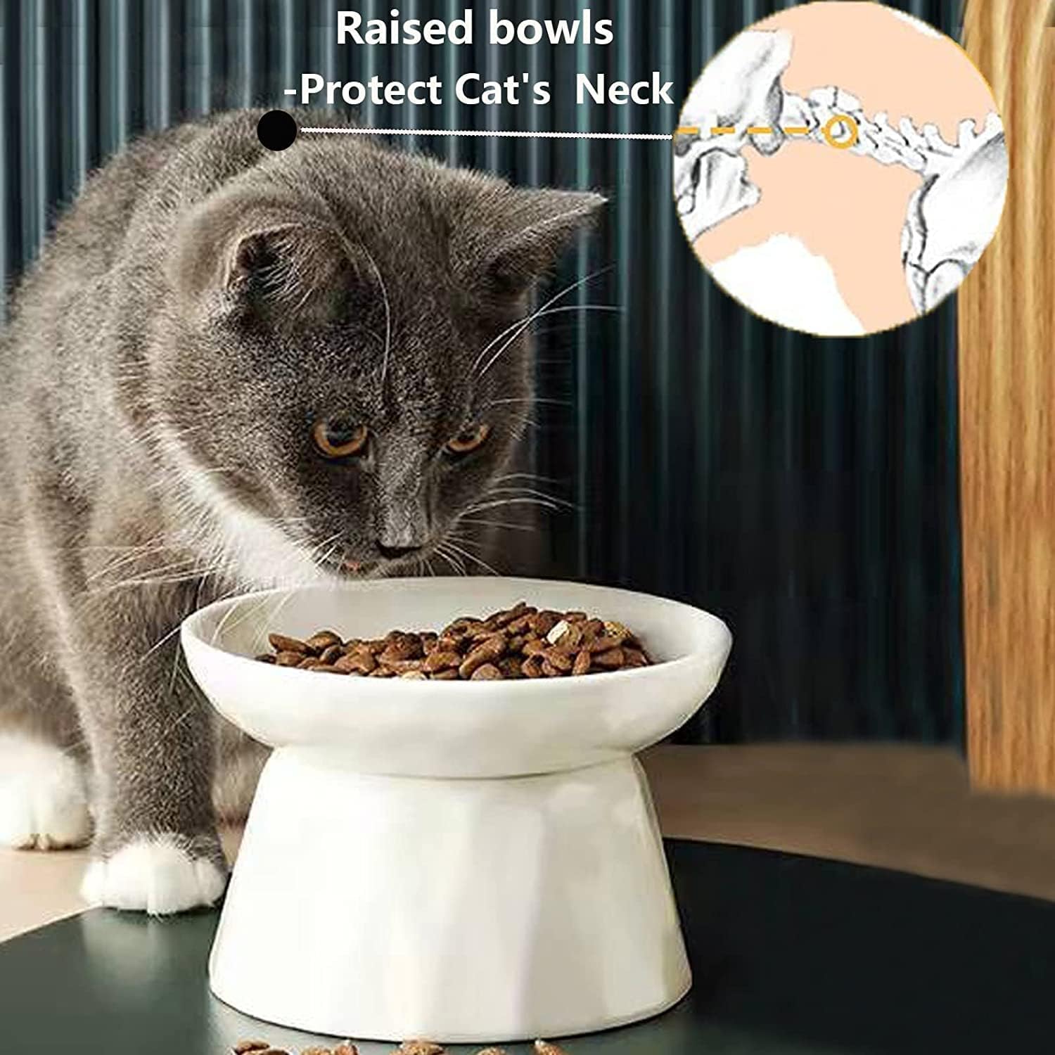 Cat eating from a raised pet bowl with text indicating it protects the cat's neck at Pet Servo