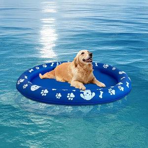 Dog on a blue inflatable pool float with paw prints in a swimming pool at Pet Servo