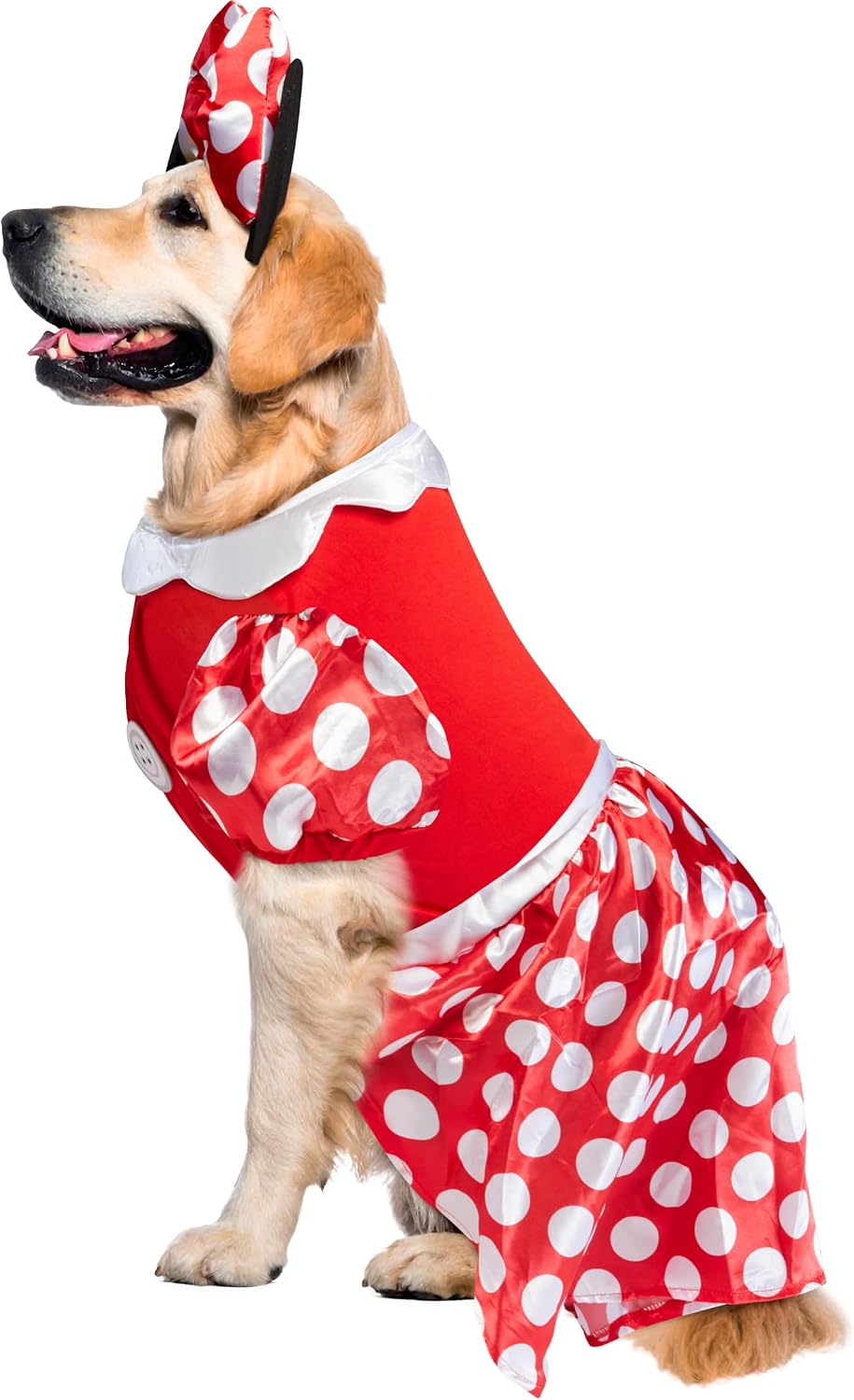 A golden retriever dog wearing a red and white polka dot costume dress with a matching headband, photographed against a plain white background at Pet Servo