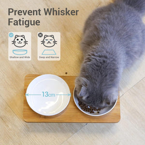 Cat eating from a shallow and wide bowl on a wooden floor with text about preventing whisker fatigue at Pet Servo