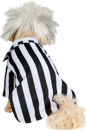 Dog wearing a black and white striped shirt on a white background at Pet Servo