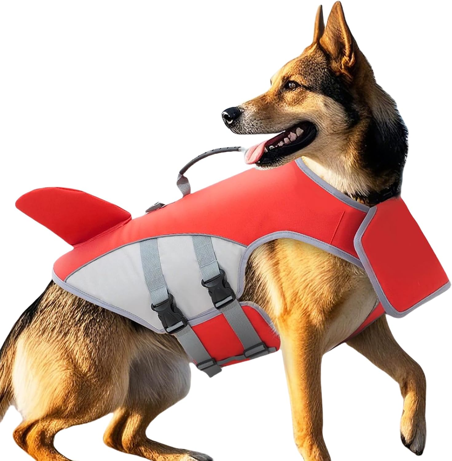Dog wearing a red life jacket on a white background at Pet Servo
