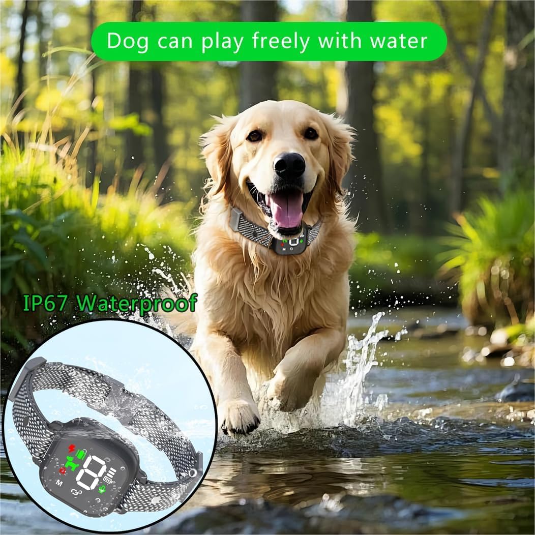 Dog playing in water with a waterproof device inset, surrounded by greenery at Pet Servo