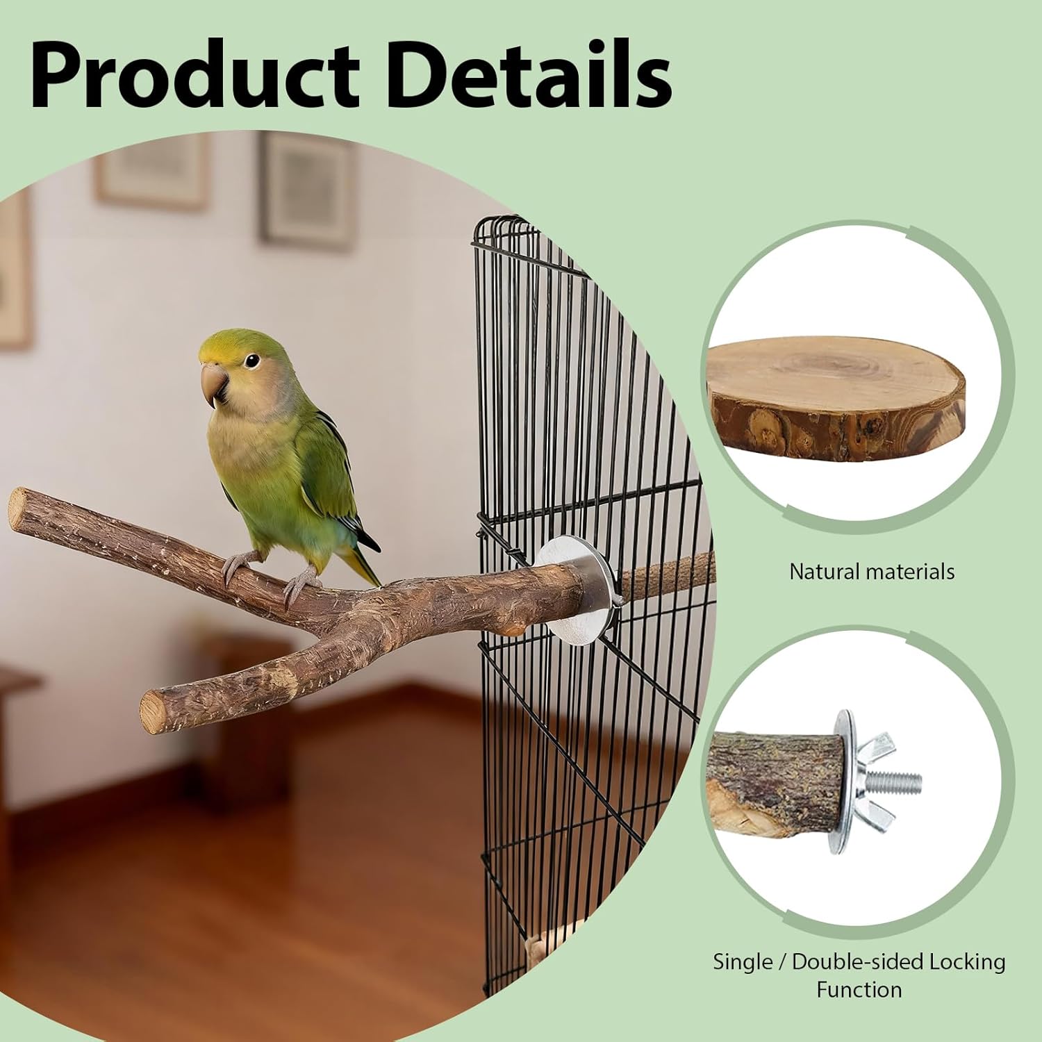 Bird perched on a branch with a cage and natural materials shown, against a light green background at Pet Servo
