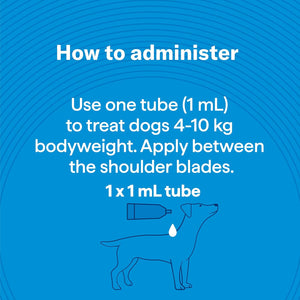 Instructions on administering a 1 mL tube for dogs on a blue background at Pet Servo