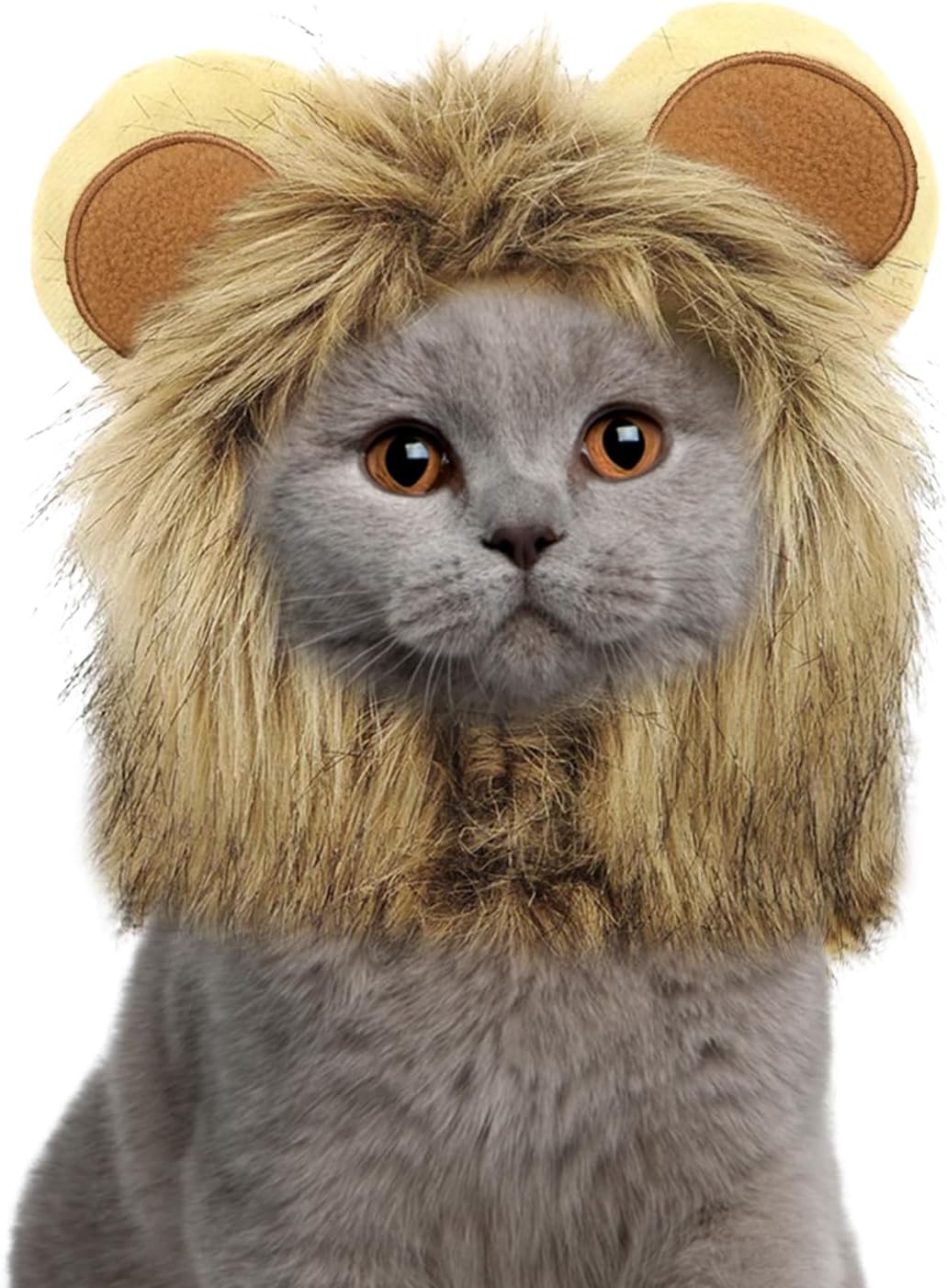 NAMSAN Halloween Pet Lions Mane Costume for Holiday Party at Pet Servo