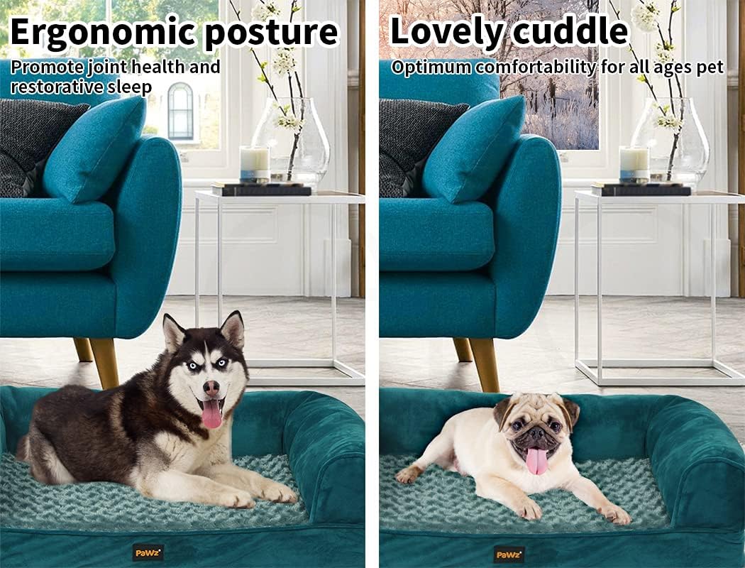 Two images of a teal dog bed with dogs on it, labeled 'Ergonomic posture' and 'Lovely cuddle' at Pet Servo