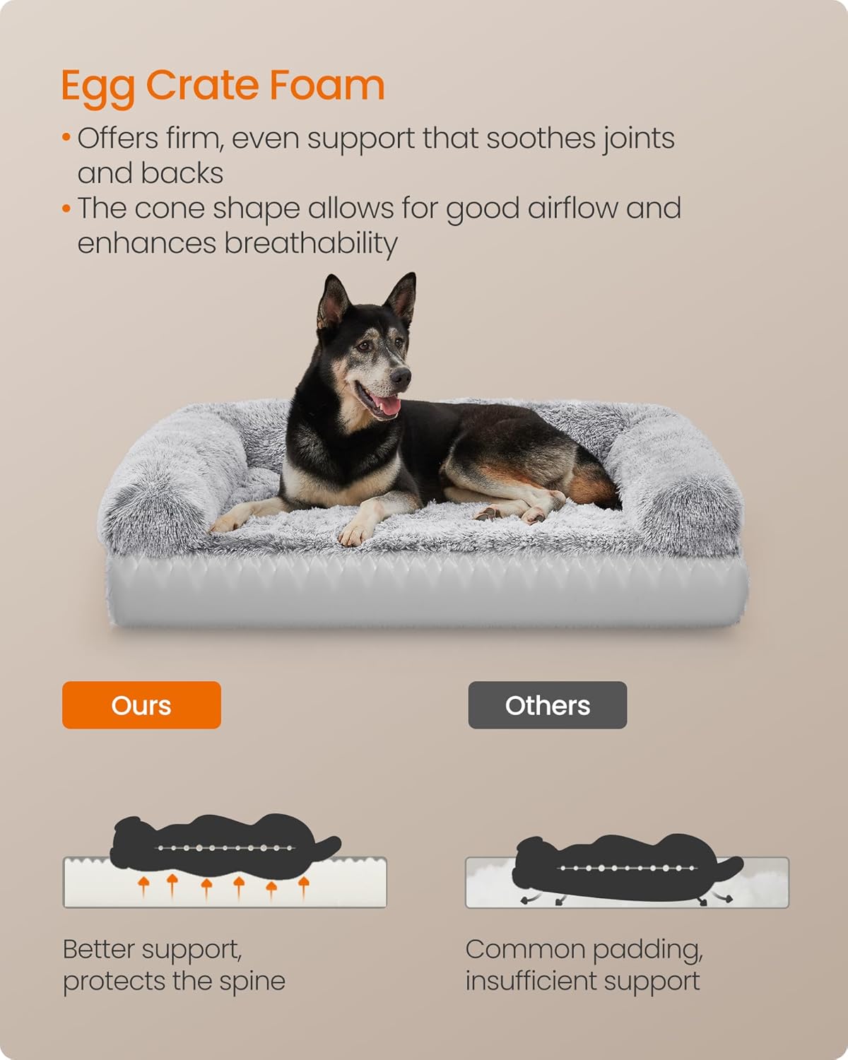 Dog lying on an egg crate foam pet bed with text highlighting its benefits at Pet Servo
