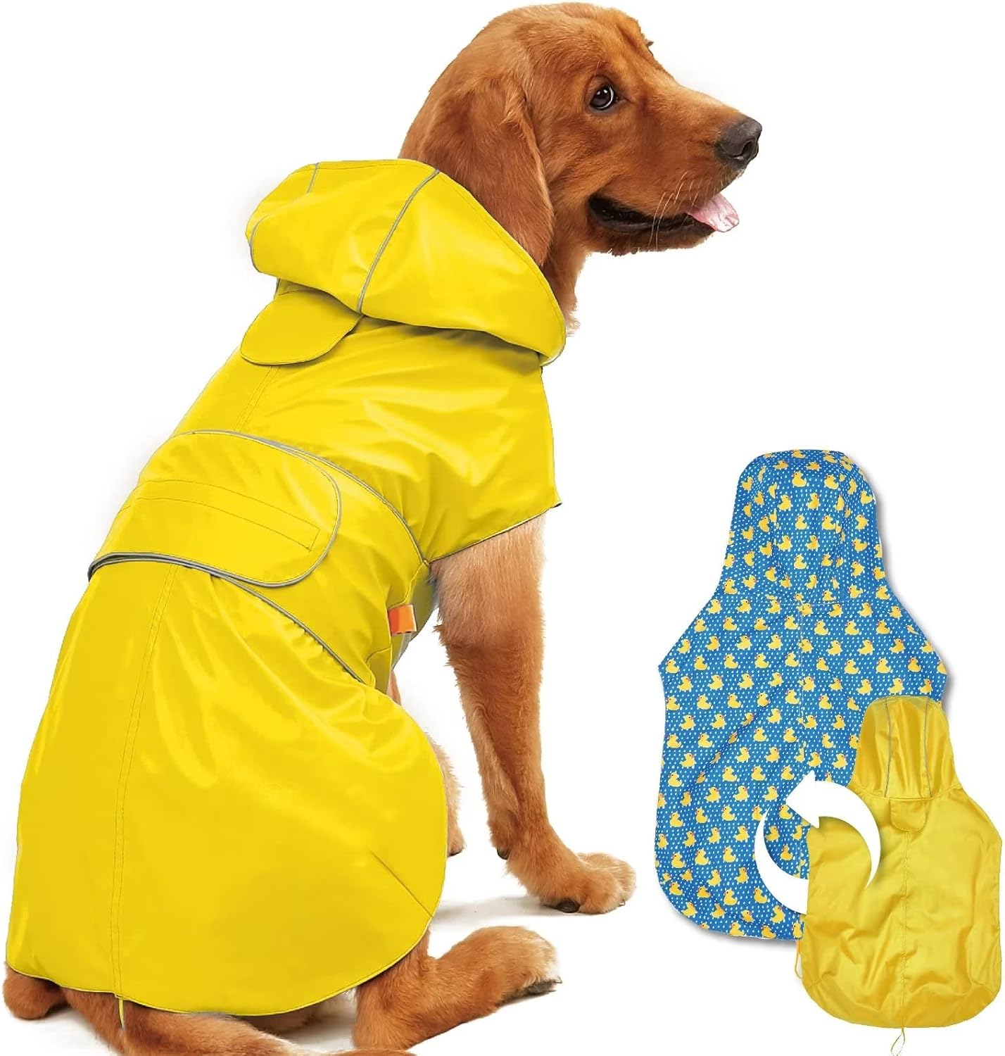 Dog wearing a yellow raincoat with a patterned insert on a white background at Pet Servo
