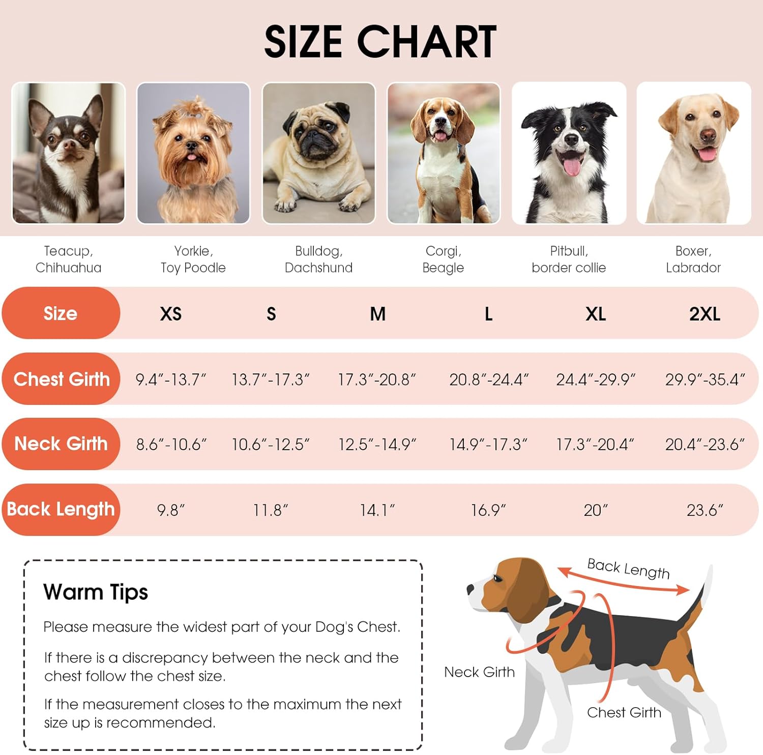 Dog size chart with images of dogs and measurements at Pet Servo