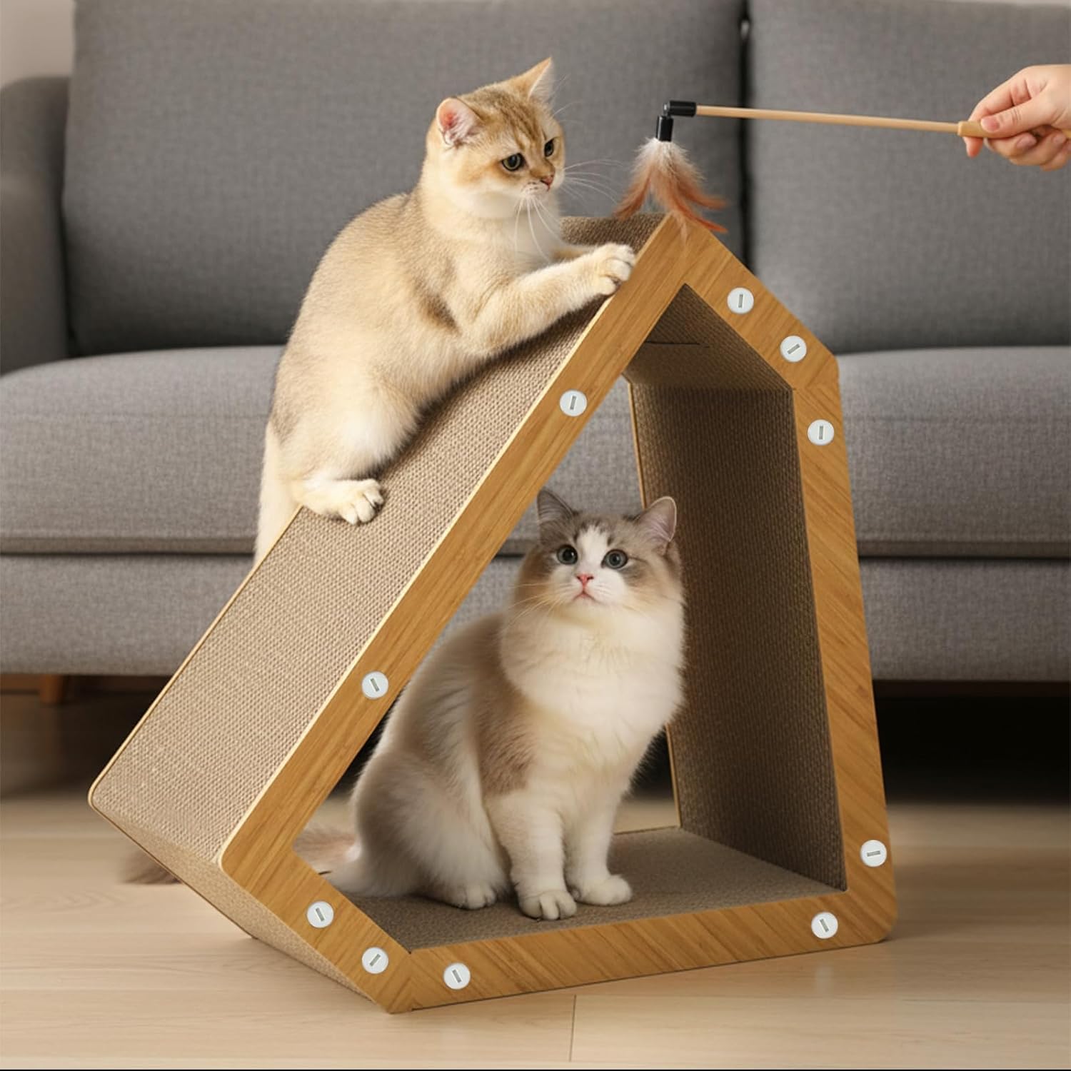 A house-shaped cat playhouse with a wooden frame and sisal-wrapped scratching panels, shown in a living room with two cats interacting with it. A human hand is holding a toy wand near the top cat at Pet Servo