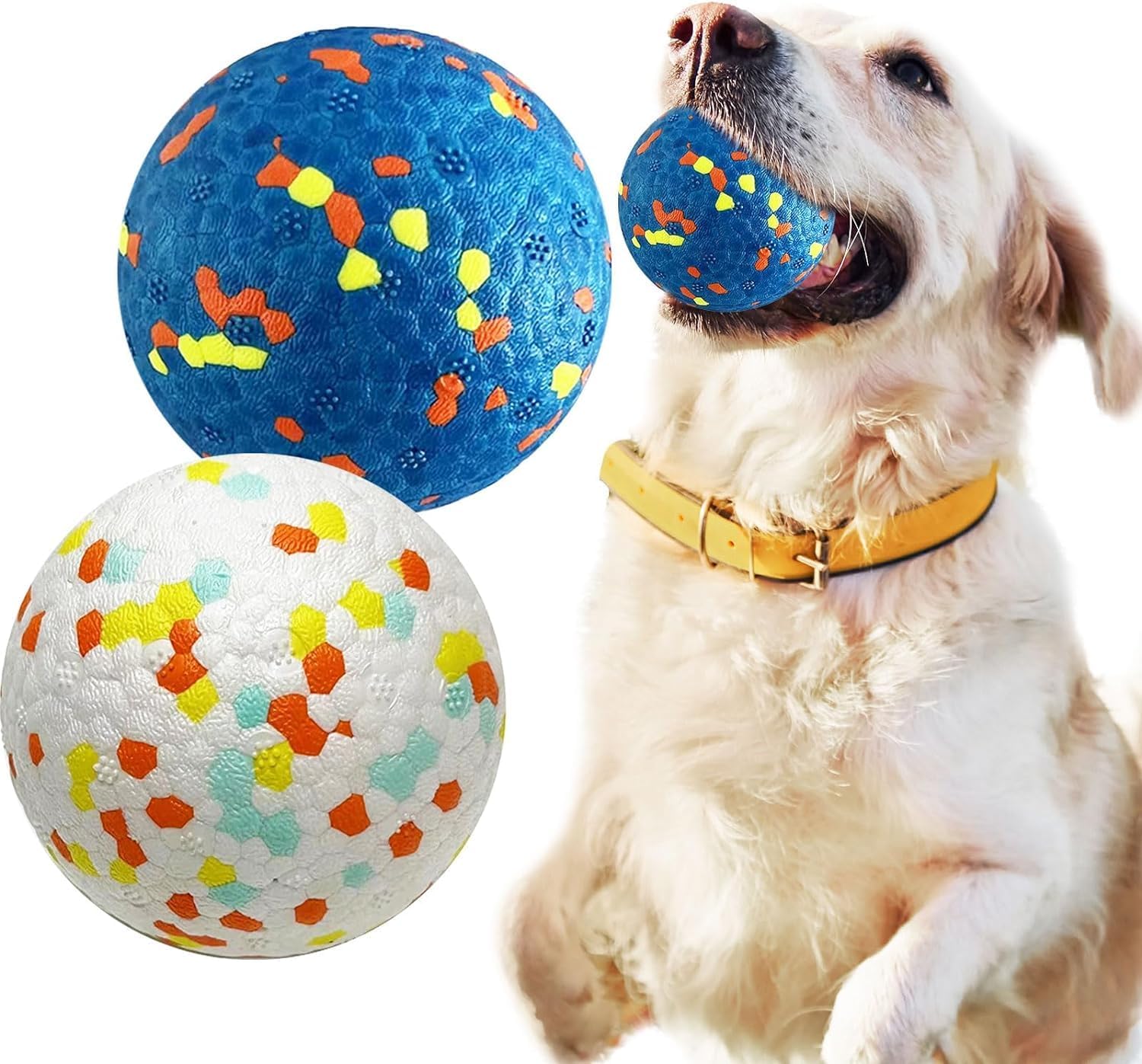 Dog playing with colorful ball toys on a white background at Pet Servo