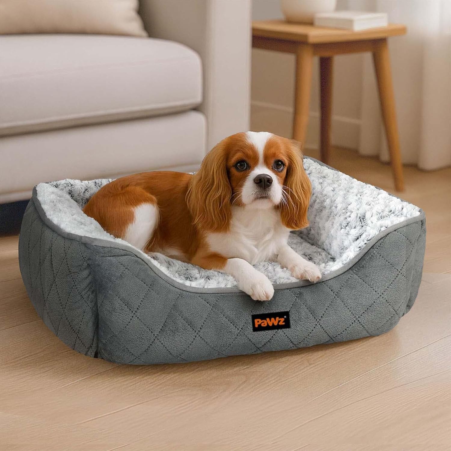 Dog lying on a gray pet bed with a 'Pawz' logo in a living room at Pet Servo