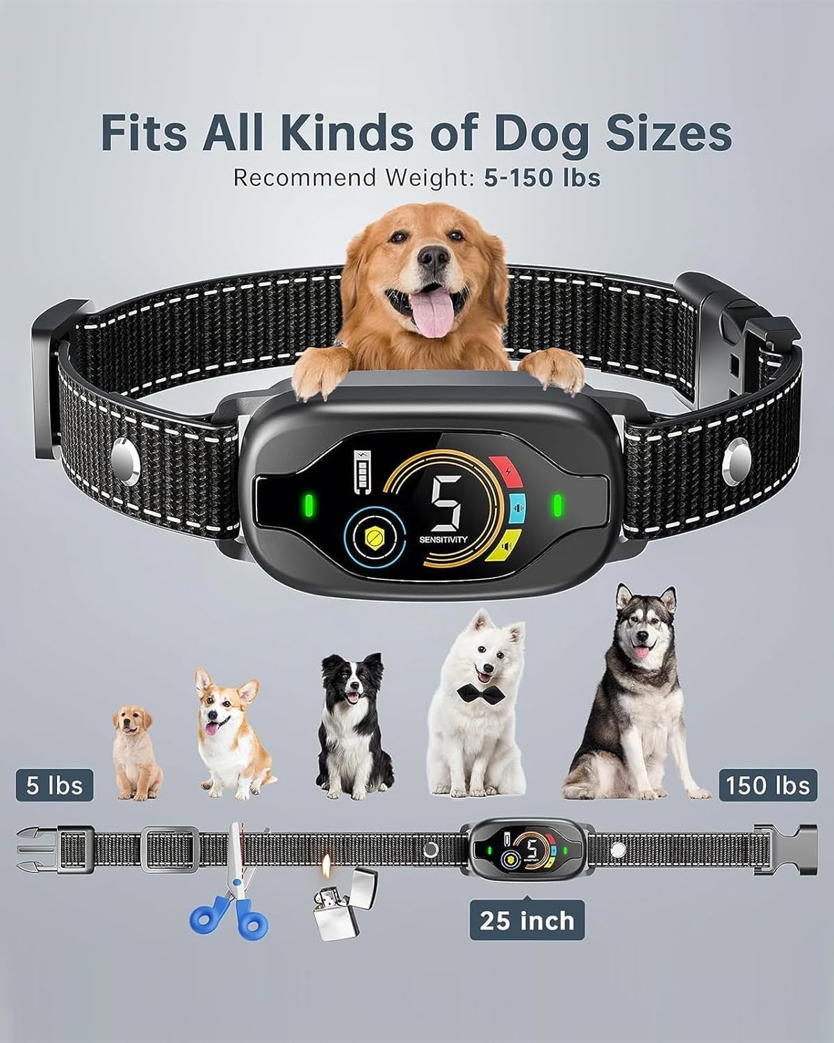 Dog collar with adjustable size feature, suitable for dogs of different weights and sizes at Pet Servo