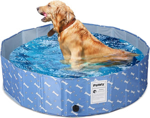 Dog sitting in a blue inflatable pool with bone pattern, on a white background at Pet Servo