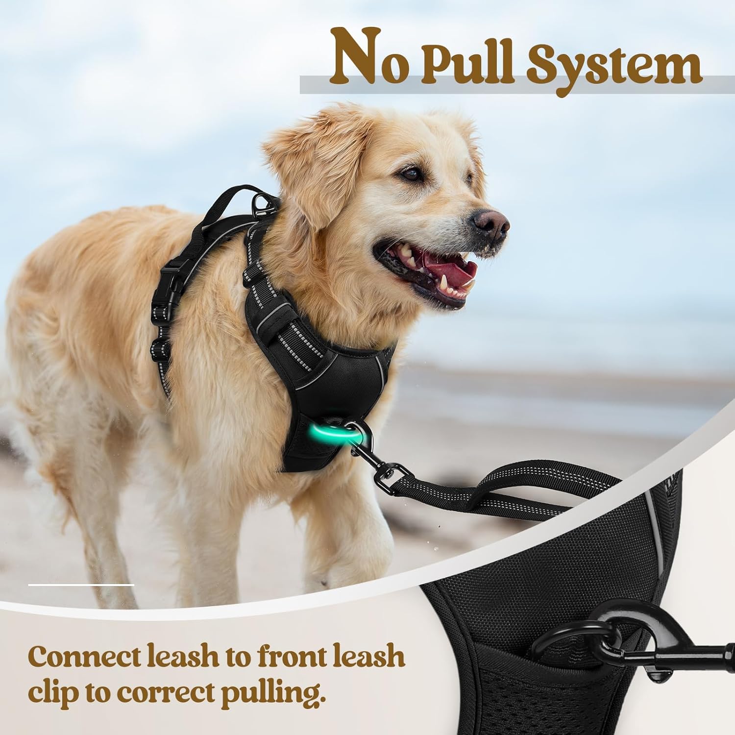Rabbitgoo - Outdoor Adjustable Pet Harness (Black) at Pet Servo