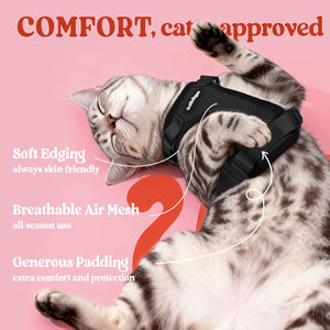 Cat wearing a harness with text highlighting comfort features on a pink background at Pet Servo