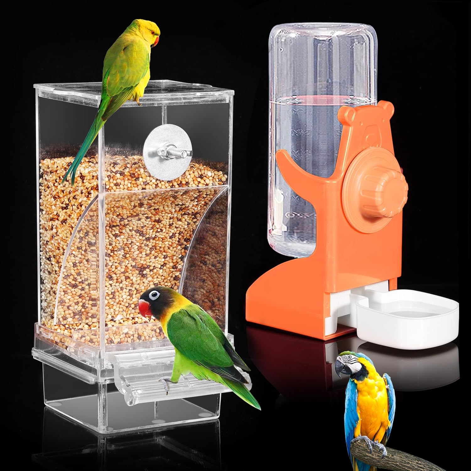 Bird feeder with seeds, water dispenser, and birds on a black background at Pet Servo