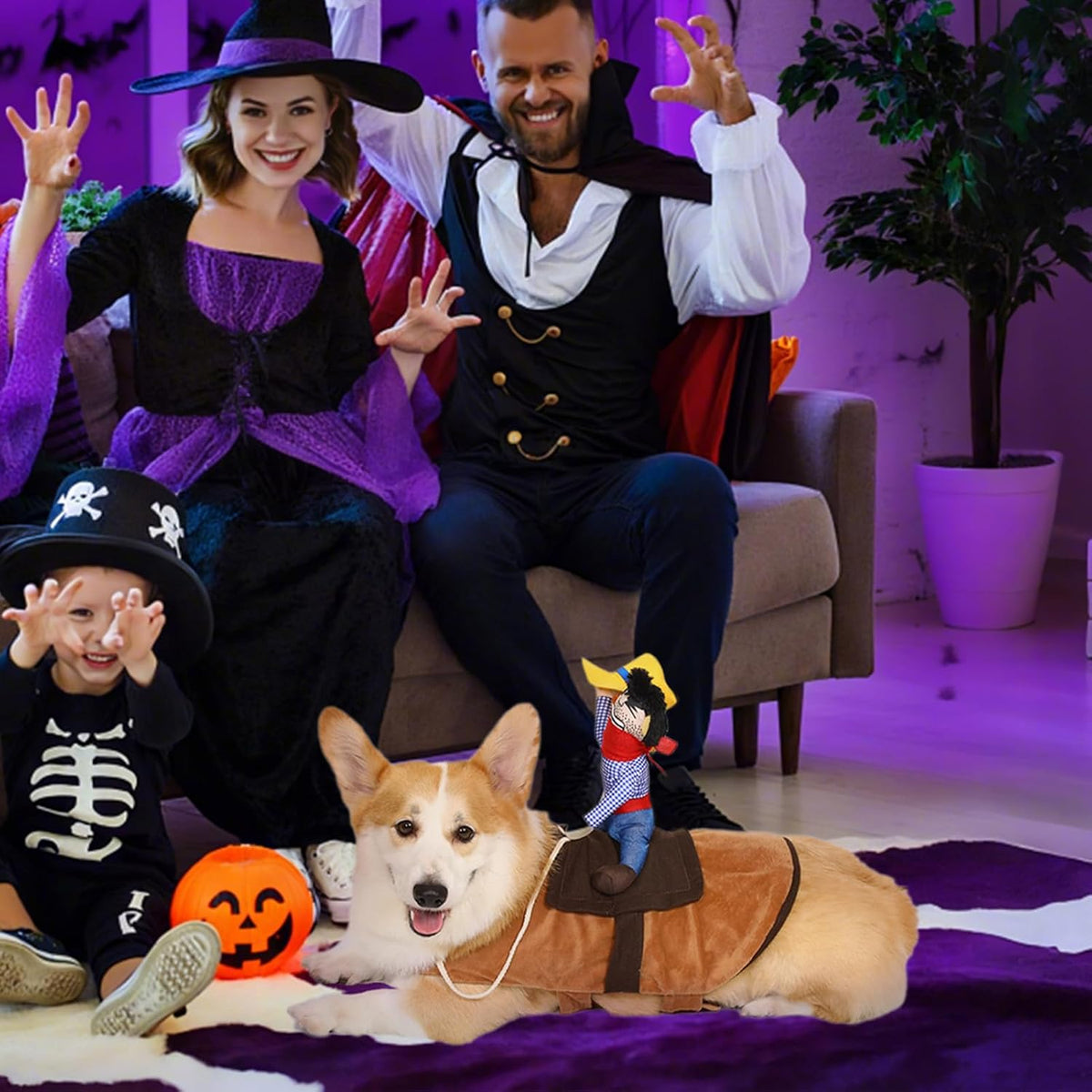 A family of four and their corgi dog dressed in Halloween costumes, including a mother and father in pirate costumes, a child in a skeleton costume, and the dog in a small pirate outfit, sitting on a purple and white rug in a decorated room at Pet Servo