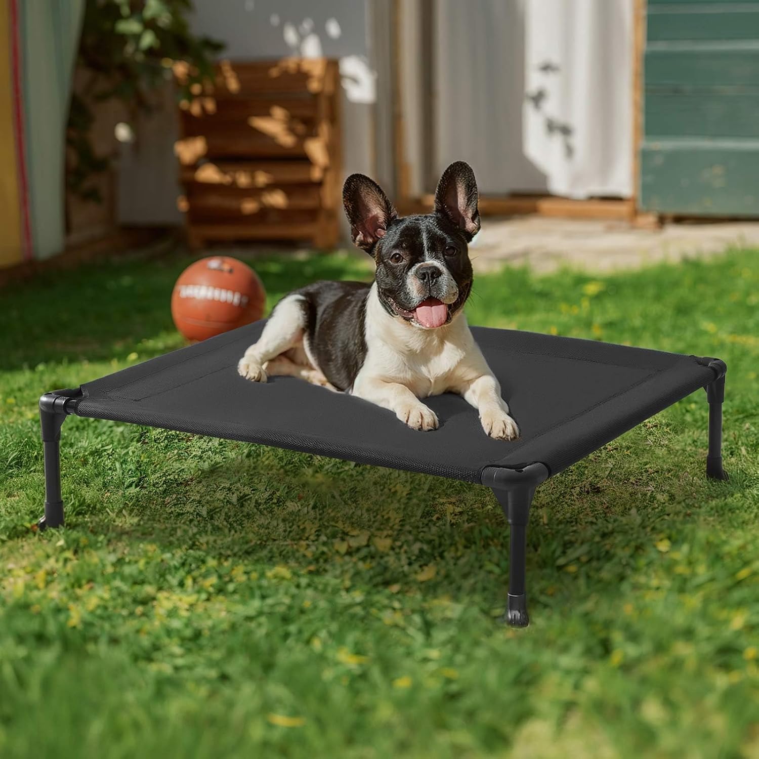 A black elevated pet cot with a black-and-white French bulldog lying on it, set on a green grass lawn in front of a house.