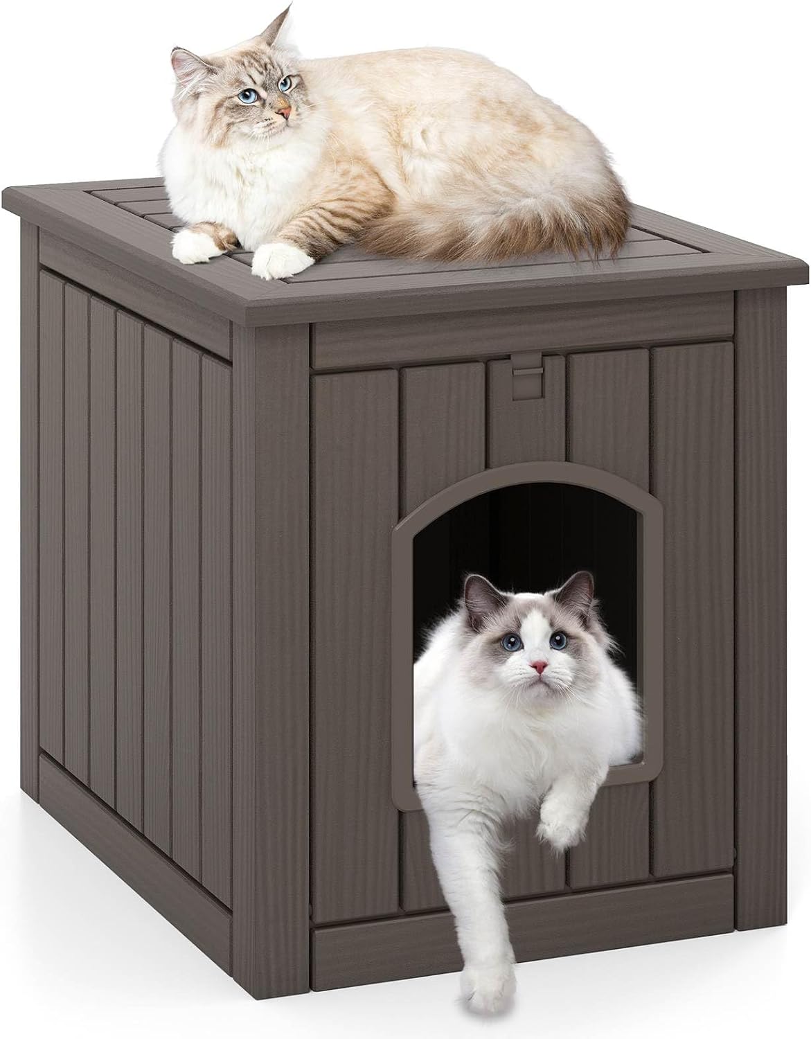 Cat house with a cat sitting on top and another one coming out of the door at Pet Servo