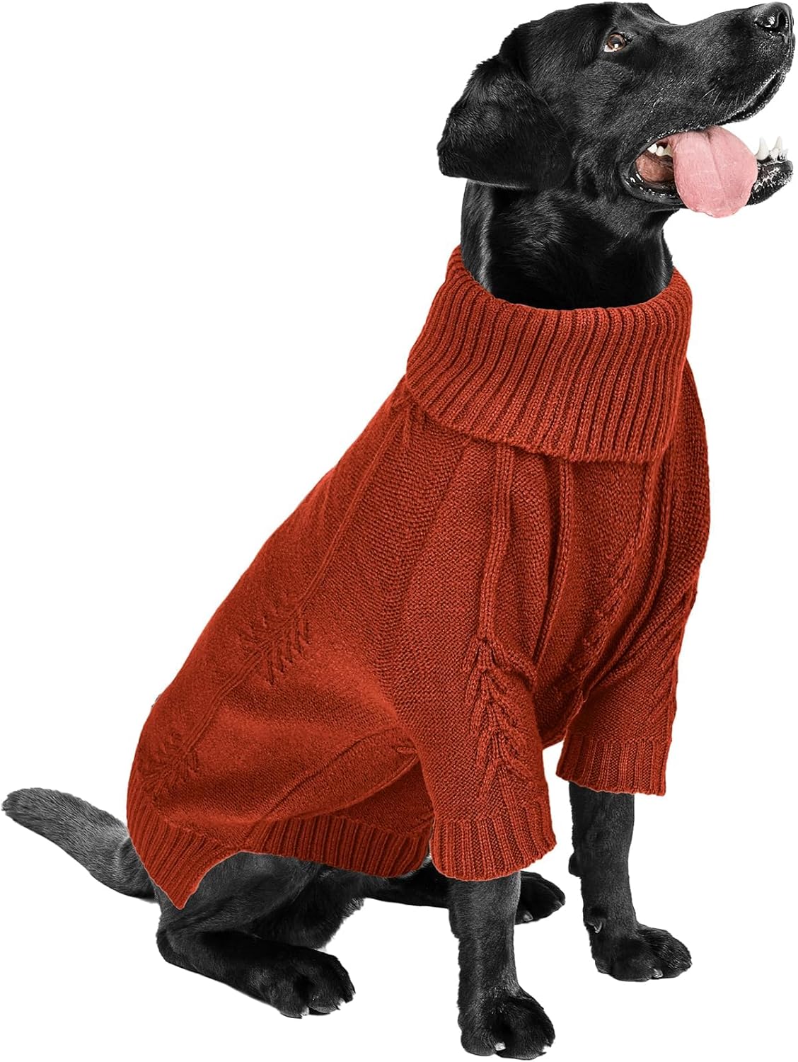 Brick Red Knitted Winter Sweater for All Dog Sizes - Petservo