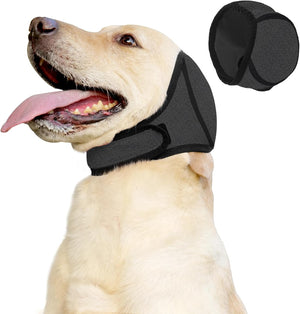 Dog wearing a black muzzle with a close-up of the muzzle on a white background at Pet Servo